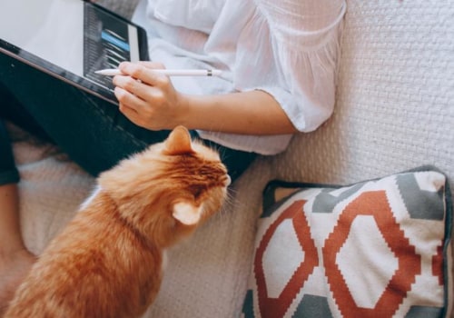 What is the Best Example of Digital Media?